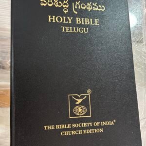 Telugu gaint print bible church edition