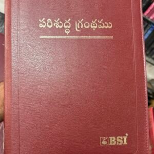 Senior citizen bible burgundy colour (best bible for elders)