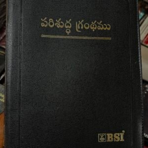 Senior citizen bibles (best bible for elders)